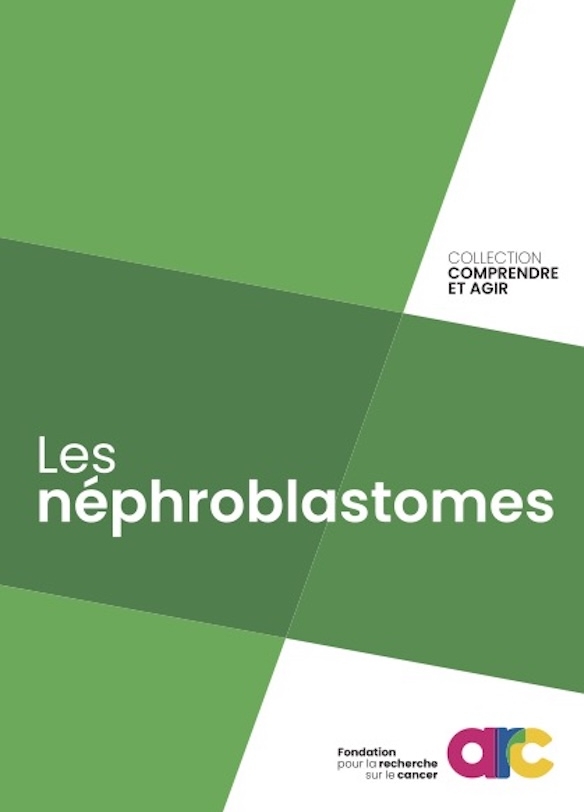 Brochure Nephroblastomes Si Fondation Arc