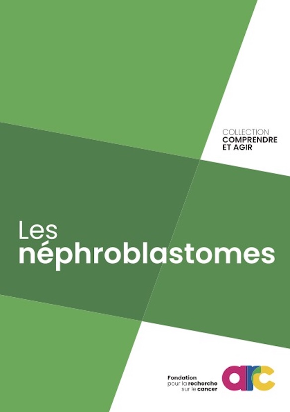 Brochure Nephroblastomes Si Fondation Arc