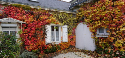 Maison en pierre recouverte de feuillage automnal, symbolisant chaleur, accueil et enracinement obtenue grâce à une donation pour la Fondation ARC.
