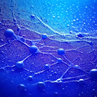 synapses