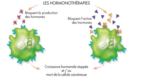Hormonotherapie