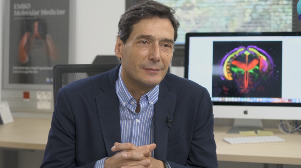 Manuel Serrano