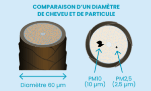 photo particule cheveux