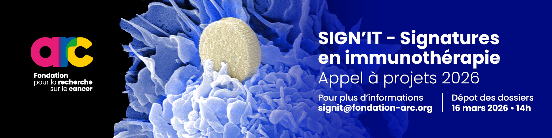 Mail Signit V01 Fr