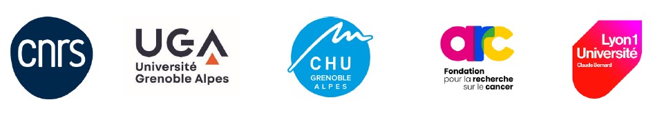 Communiqué de presse : Cancer du pancréas : un anticorps fait ses preuves dans un essai clinique précoce