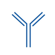 Picto Scientifiques Lymphocyte T