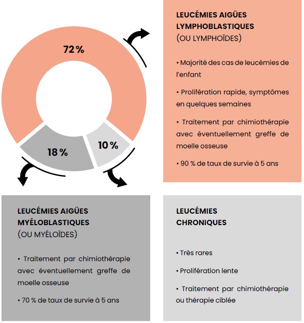 Différents Types De Leucémies