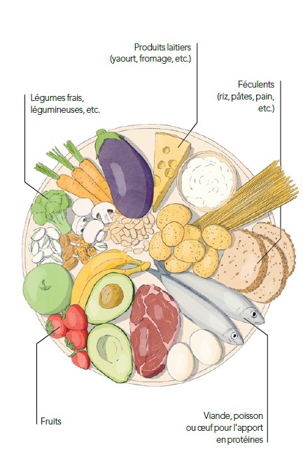 Alimentaiton
